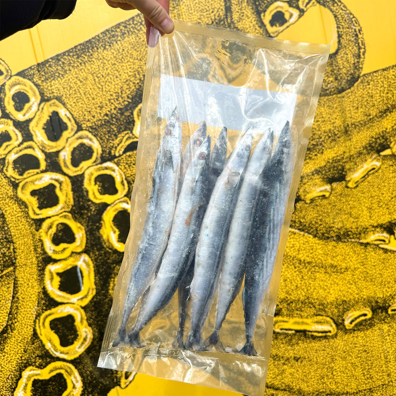 Whole Pacific Saury (Frozen) 1KG
